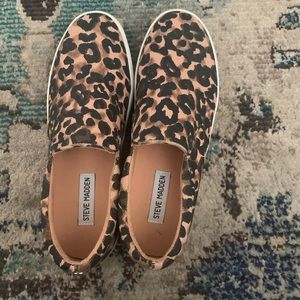 Steve Madden leopard slip on sneaker